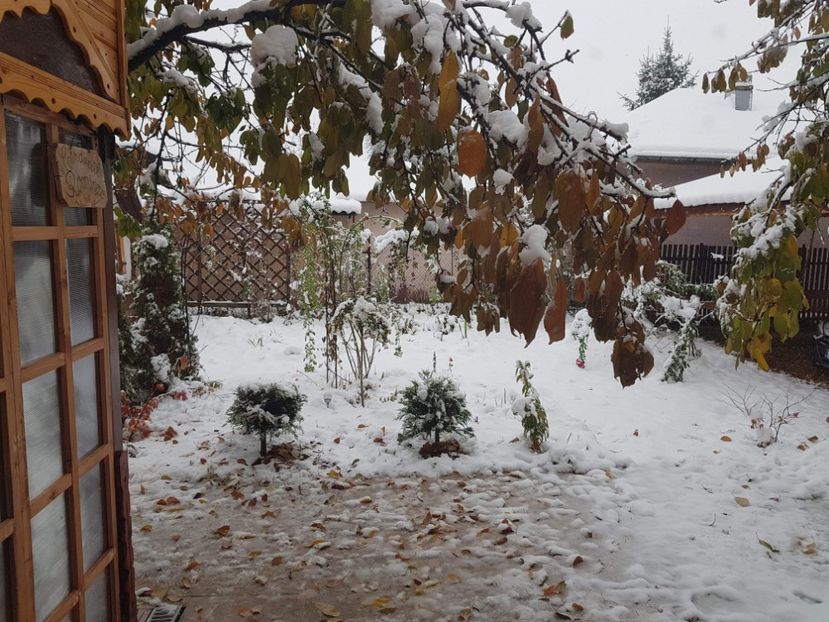 20nov - 2018_Noiembrie - Decembrie