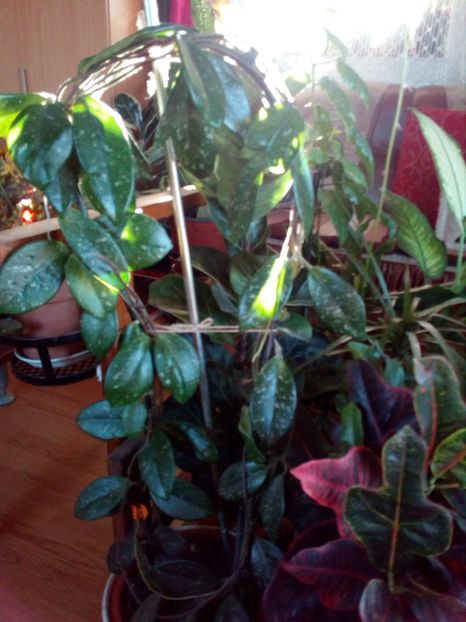  - O noua sedinta foto in 2018