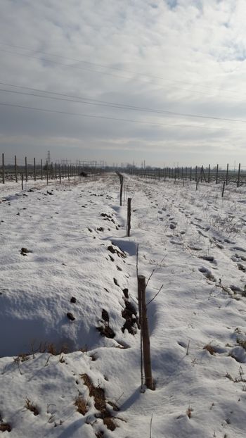  - Livada 1 anul I 2018