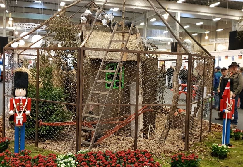 20181110_104508 (2) - u EXPO EUROPEANA 2018-Europaschau 2018 Herning DK