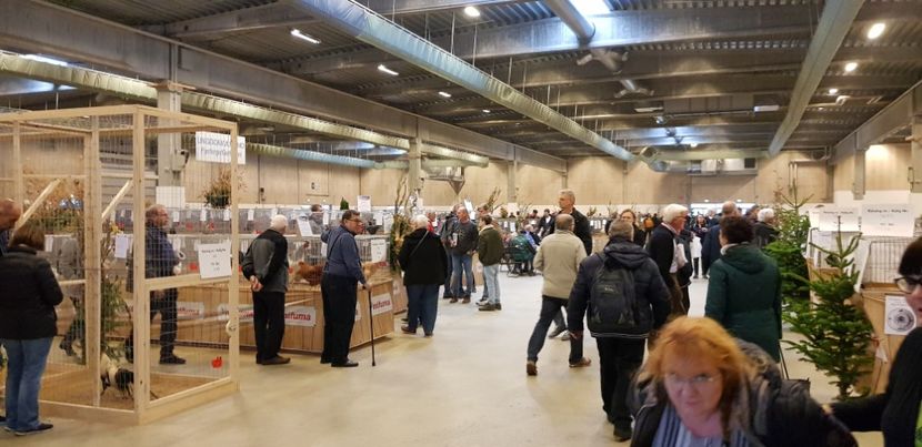  - u EXPO EUROPEANA 2018-Europaschau 2018 Herning DK