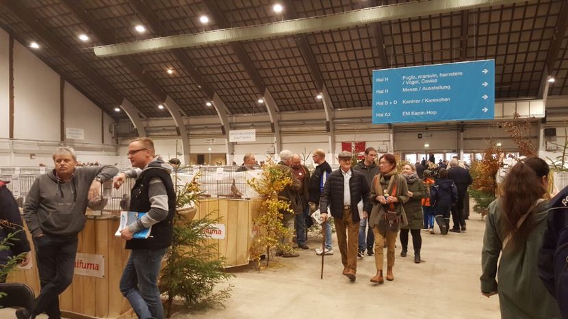  - u EXPO EUROPEANA 2018-Europaschau 2018 Herning DK