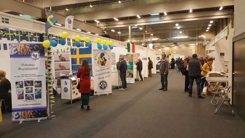  - u EXPO EUROPEANA 2018-Europaschau 2018 Herning DK