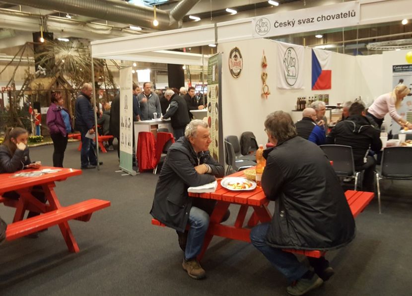20181110_120635 (2) - u EXPO EUROPEANA 2018-Europaschau 2018 Herning DK