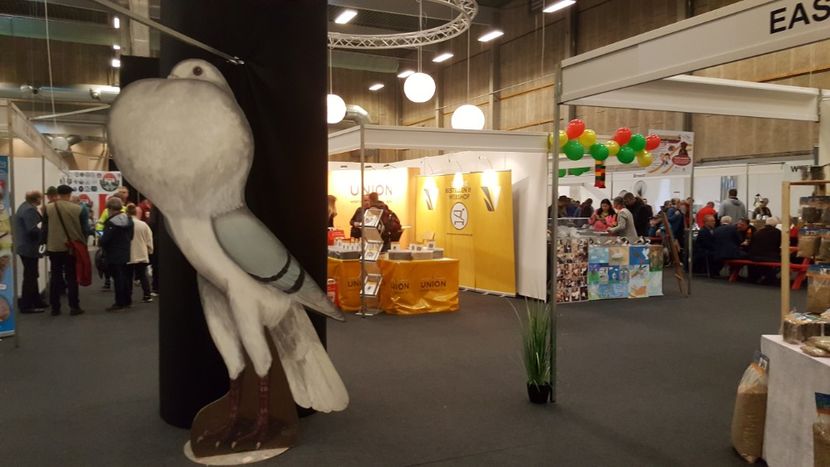  - u EXPO EUROPEANA 2018-Europaschau 2018 Herning DK