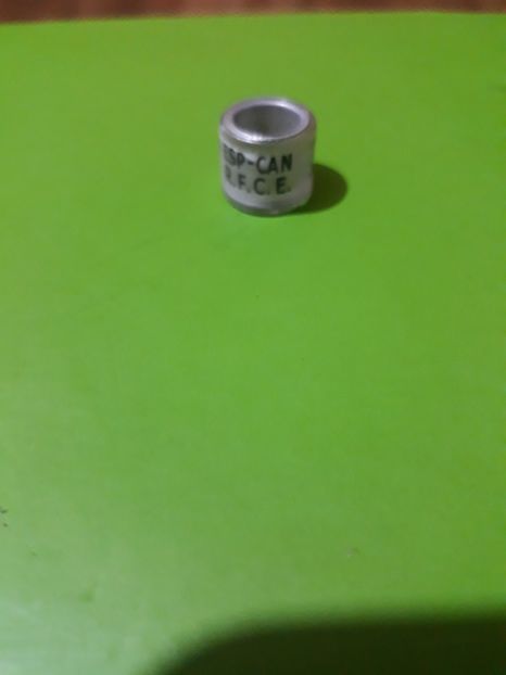 Esp.Canarias 2013 - Colectie inele Spania