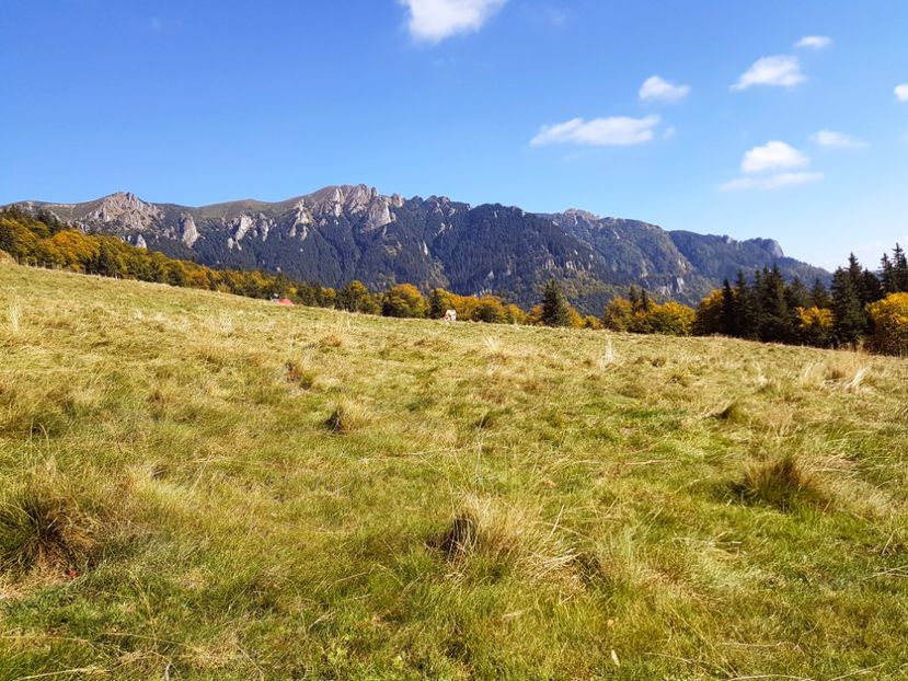  - 06 - Cheia - Muntele Roșu - nov 2018