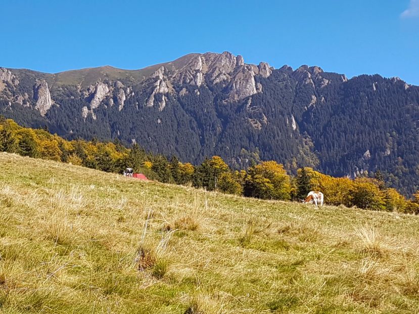  - 06 - Cheia - Muntele Roșu - nov 2018