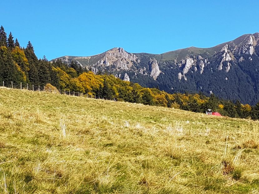  - 06 - Cheia - Muntele Roșu - nov 2018