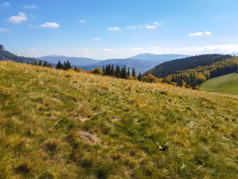  - 06 - Cheia - Muntele Roșu - nov 2018
