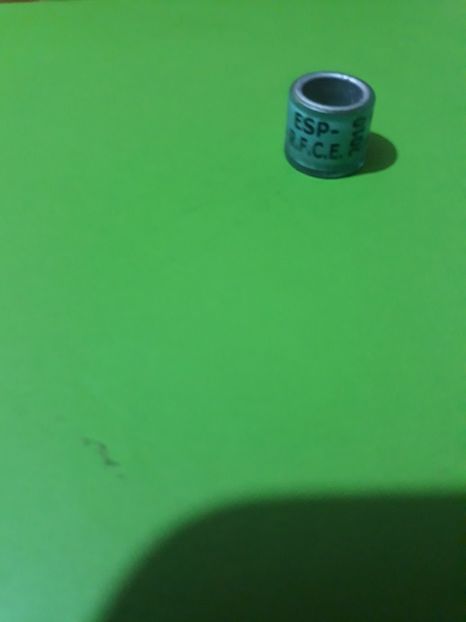 R.f.c.e.2010 - Colectie inele Spania