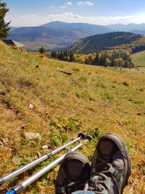  - 06 - Cheia - Muntele Roșu - nov 2018