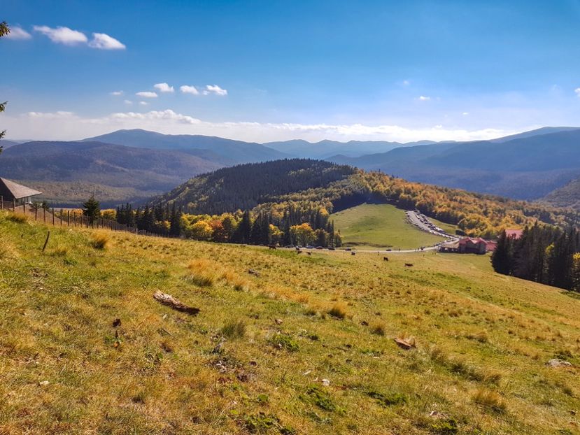 Muntele Roșu - 06 - Cheia - Muntele Roșu - nov 2018