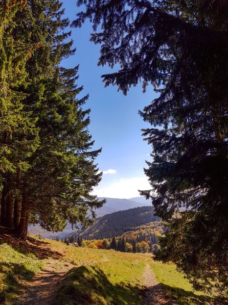  - 06 - Cheia - Muntele Roșu - nov 2018