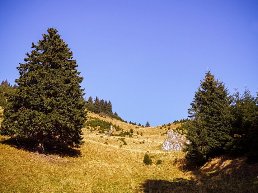  - 06 - Cheia - Muntele Roșu - nov 2018