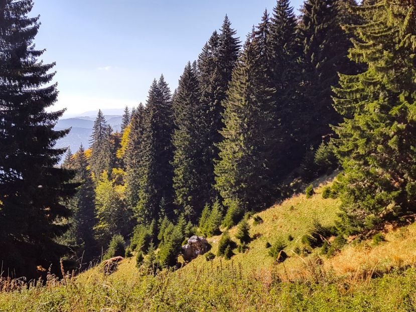  - 06 - Cheia - Muntele Roșu - nov 2018