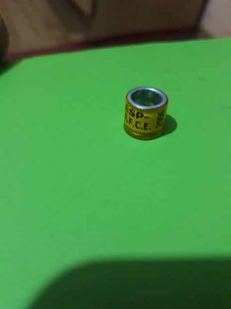 R.F.C.E  2006 - Colectie inele Spania