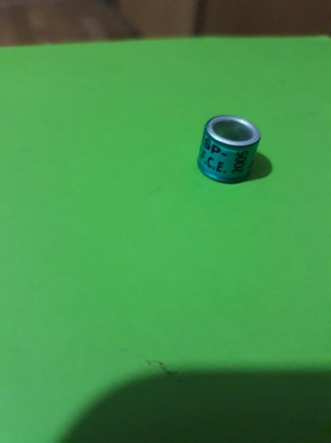 R.F.C.E  2005 - Colectie inele Spania