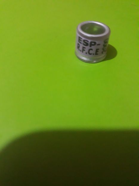 R.F.C.E  2000 - Colectie inele Spania