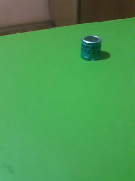 R.F.C.E  91 - Colectie inele Spania