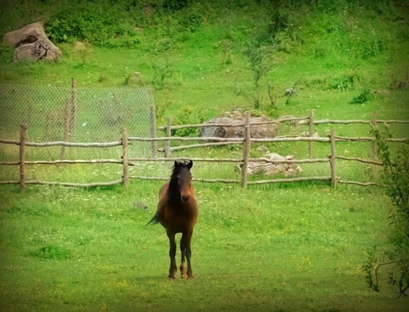  - 01 - Țara Bârsei