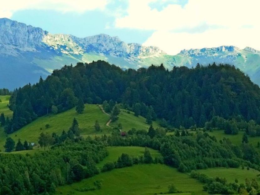  - 01 - Țara Bârsei