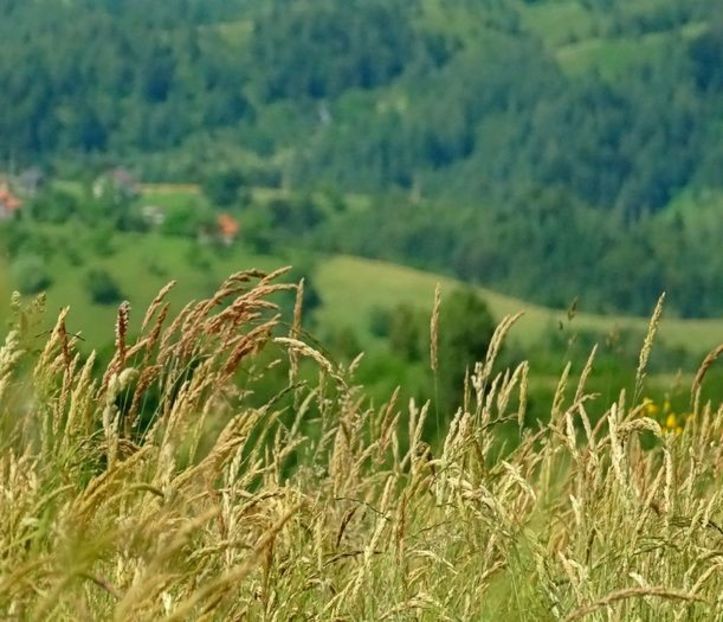  - 01 - Țara Bârsei