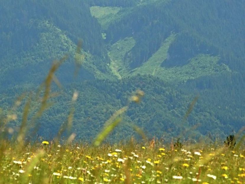  - 01 - Țara Bârsei