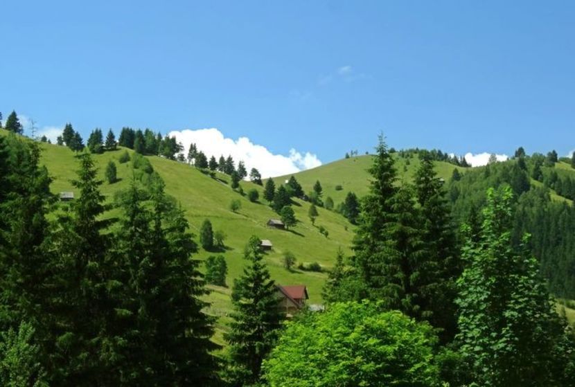  - 01 - Țara Bârsei