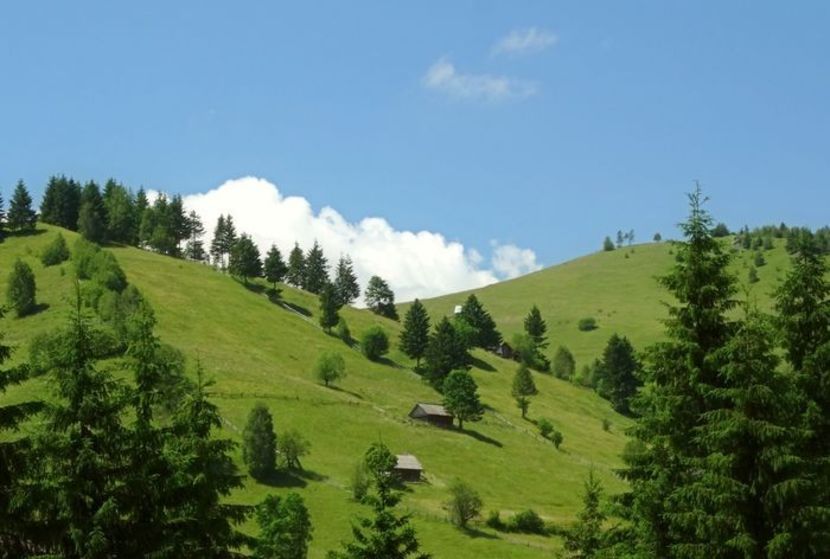  - 01 - Țara Bârsei