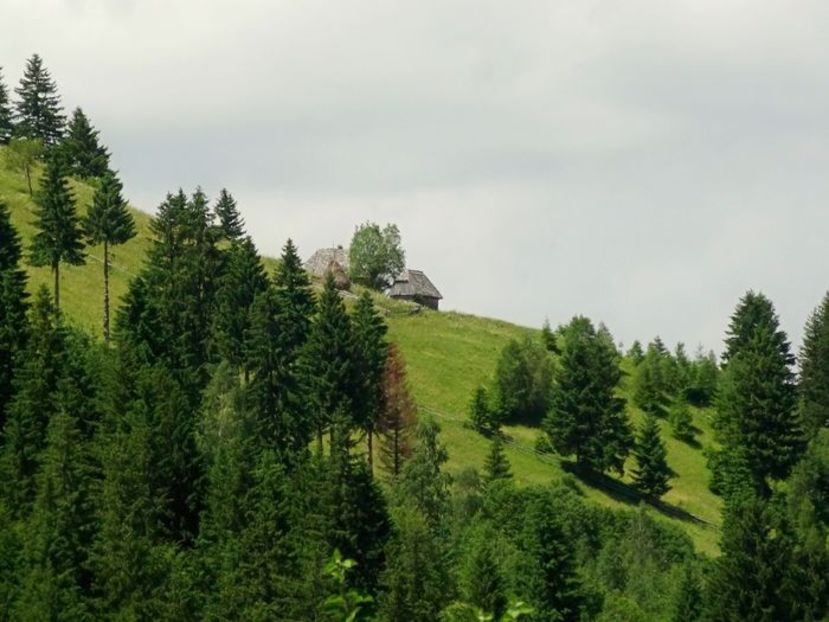  - 01 - Țara Bârsei