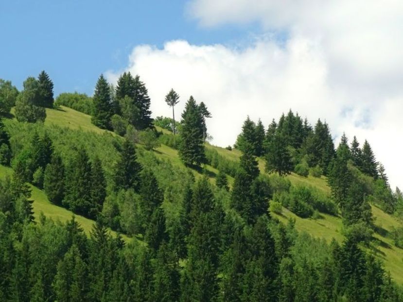  - 01 - Țara Bârsei
