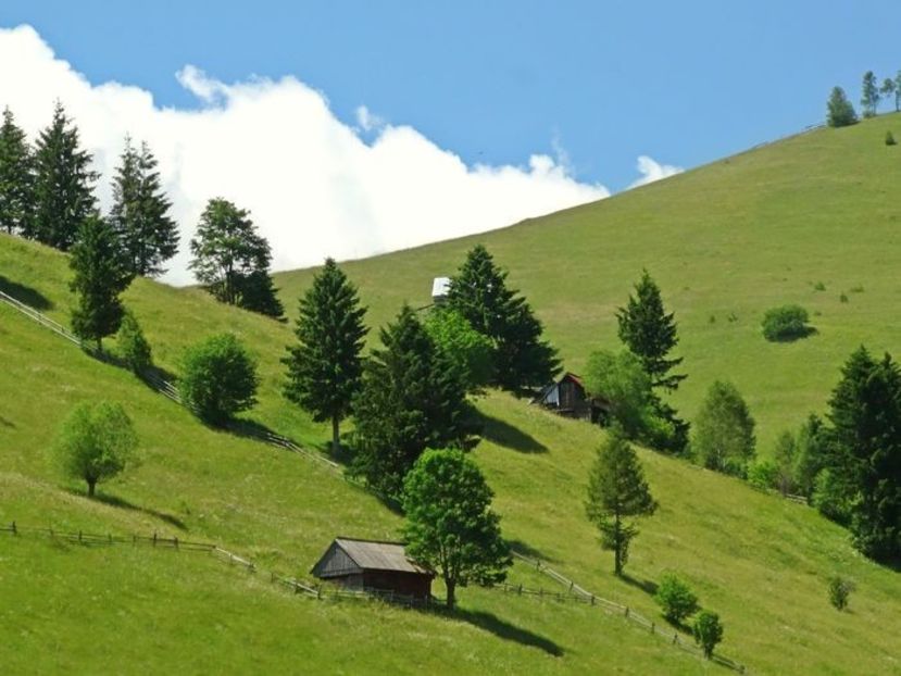  - 01 - Țara Bârsei