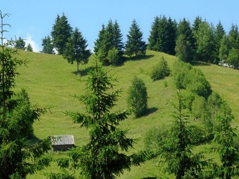  - 01 - Țara Bârsei