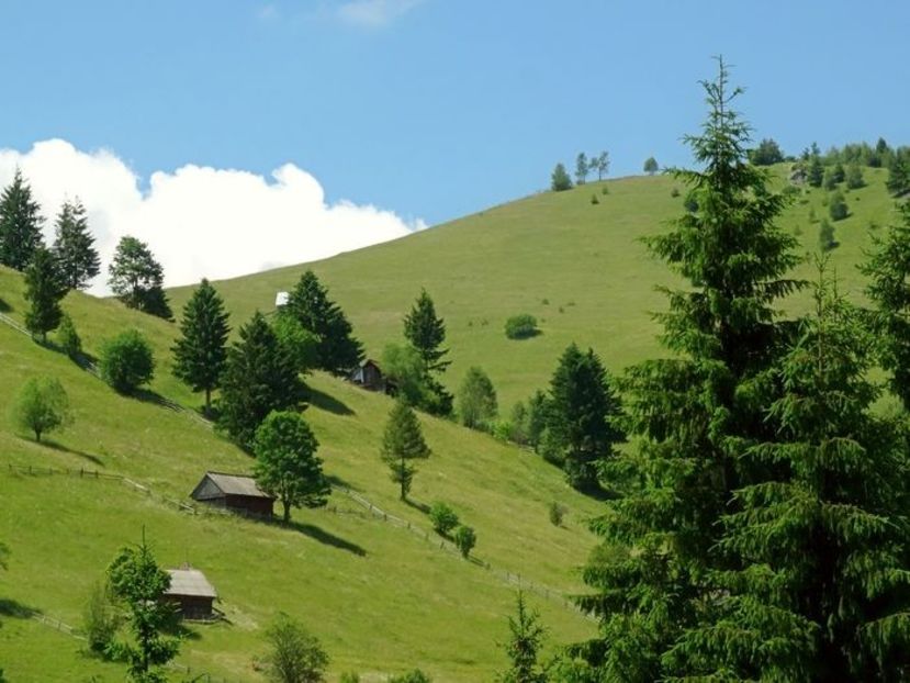  - 01 - Țara Bârsei