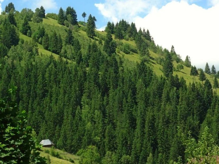  - 01 - Țara Bârsei