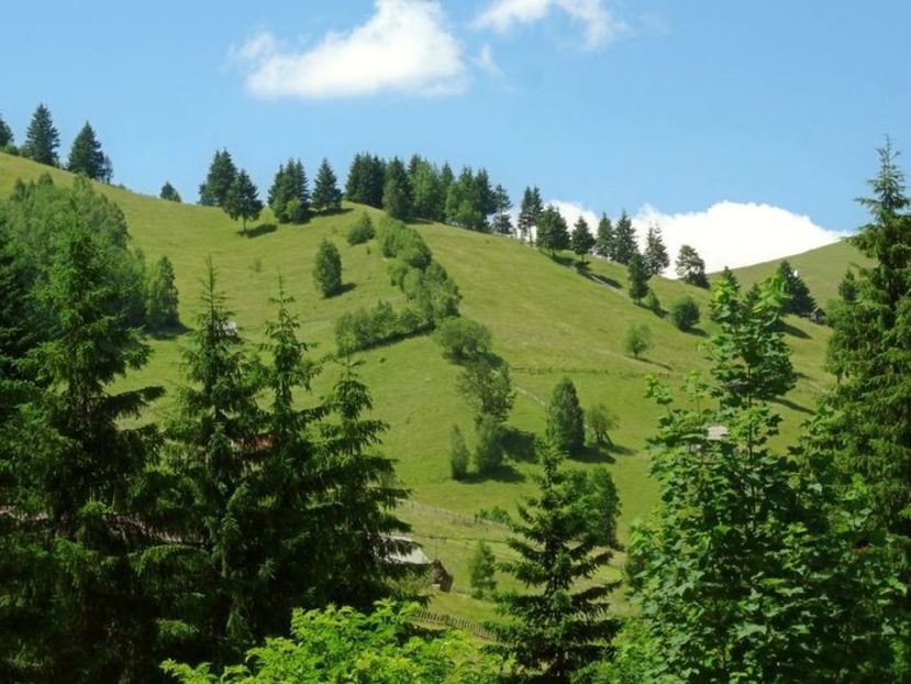  - 01 - Țara Bârsei