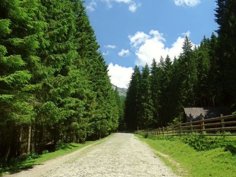  - 01 - Țara Bârsei