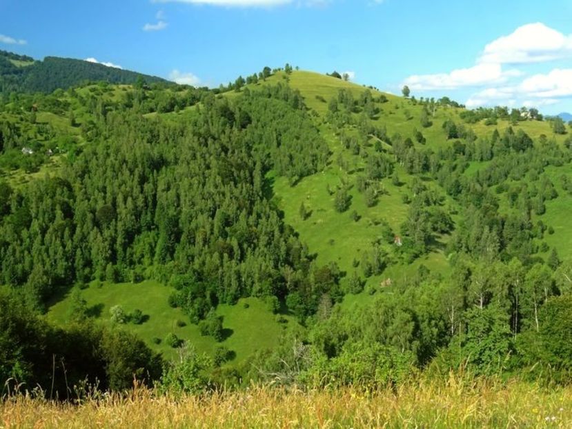  - 01 - Țara Bârsei
