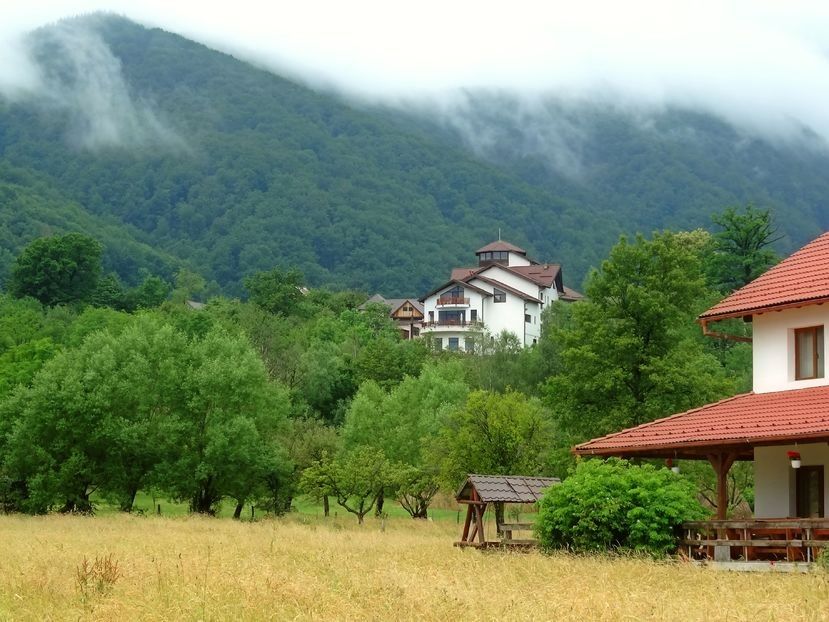  - 02 - Preduleț și Bran