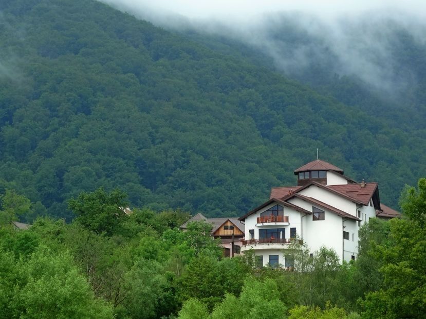  - 02 - Preduleț și Bran