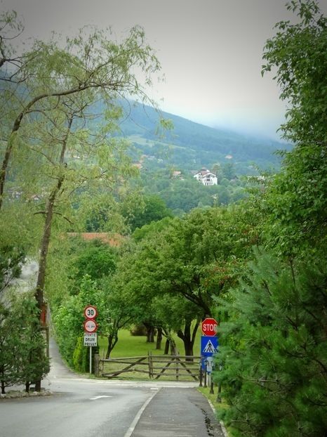  - 02 - Preduleț și Bran