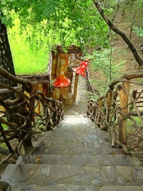  - 02 - Preduleț și Bran