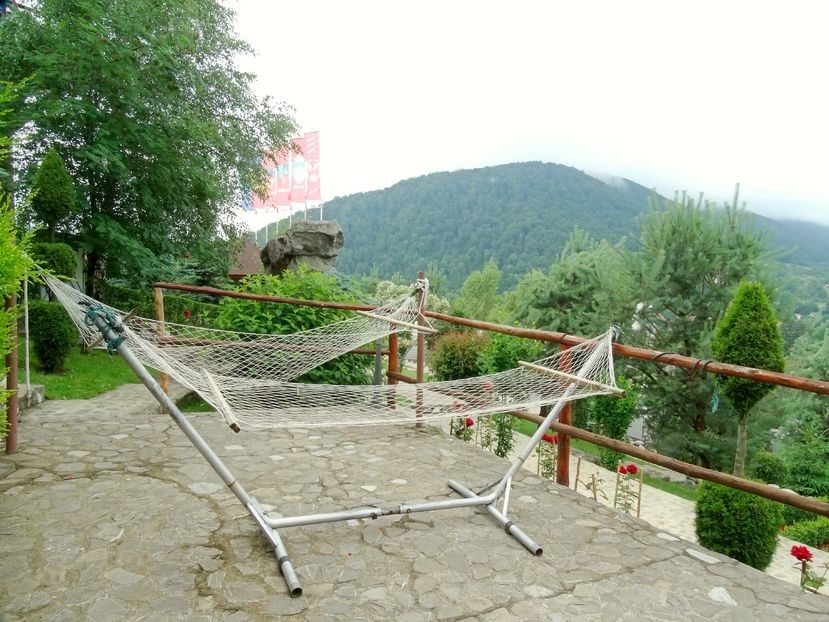  - 02 - Preduleț și Bran