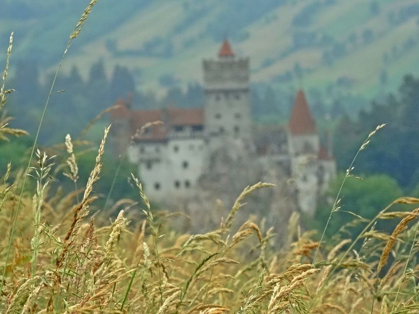  - 02 - Preduleț și Bran