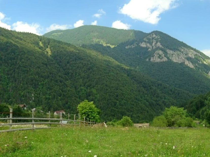  - 03 - Satele Măgura și Peștera