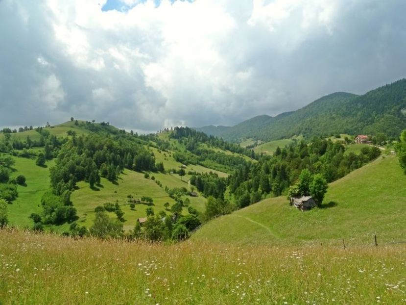  - 03 - Satele Măgura și Peștera