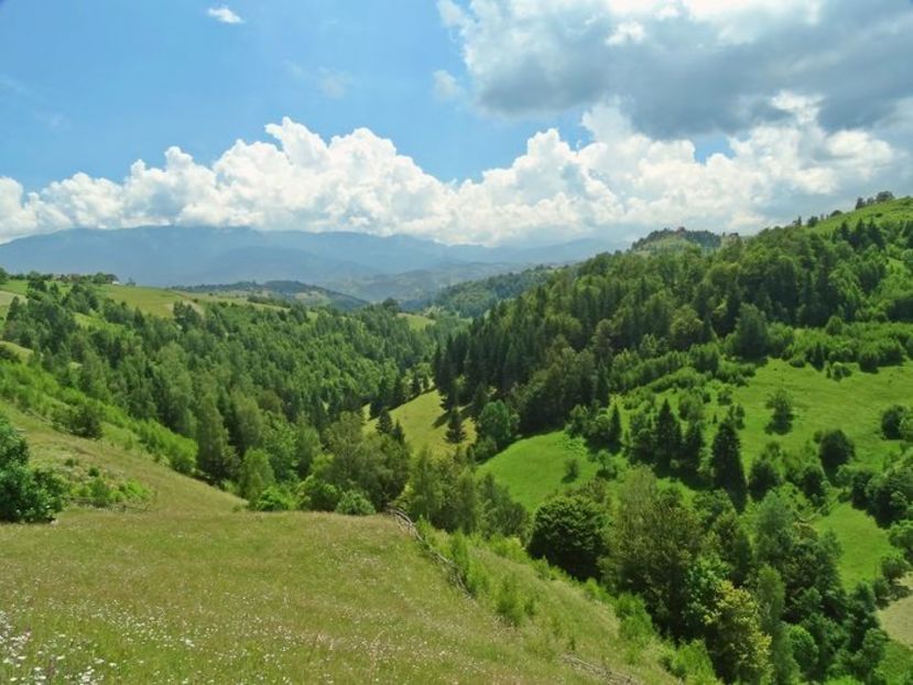  - 03 - Satele Măgura și Peștera