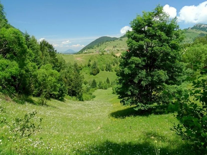  - 03 - Satele Măgura și Peștera