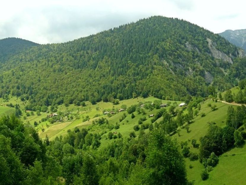  - 03 - Satele Măgura și Peștera